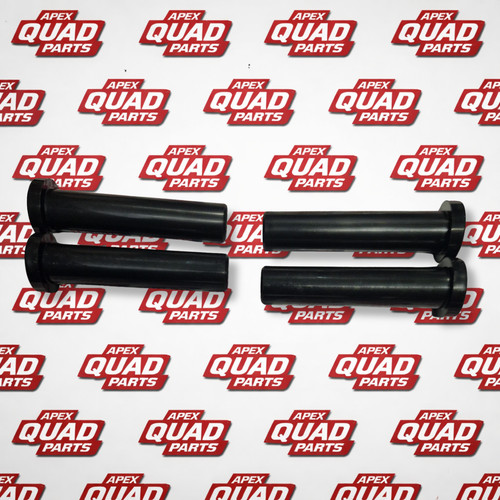 Polaris 250 2x2 4x4 6x6 - 250,