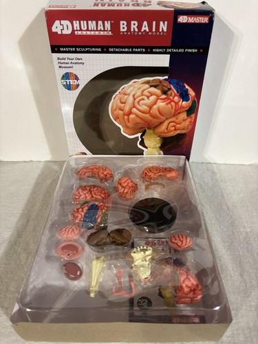 New toys master human - new,