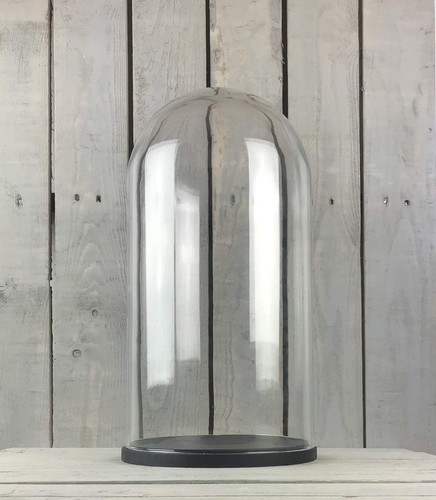Large glass dome cover cloche - large,