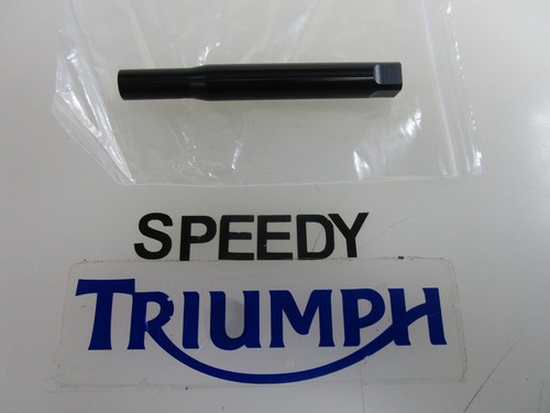 Triumph daytona 675 street - triumph,