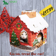 Christmas Santa's Grotto Cat
