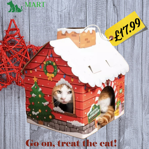Christmas santa grotto cat - santa's,