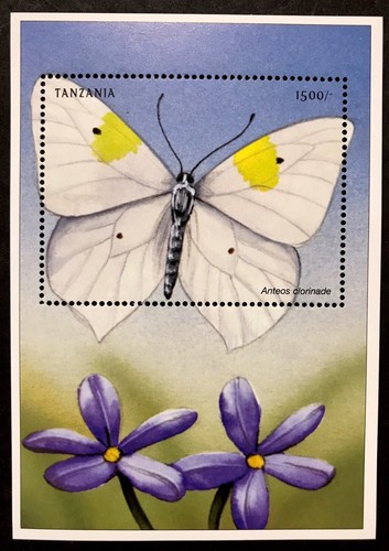 Tanzania butterfly stamps - butterfly, ss