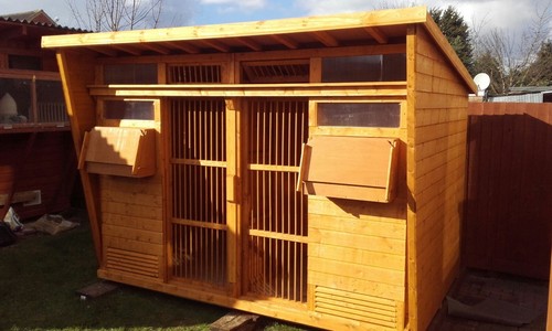 Pigeon loft with - loft, ets