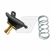 Carburetor Diaphragm Set