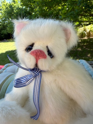 Kaycee bears cat - kaycee, ,by