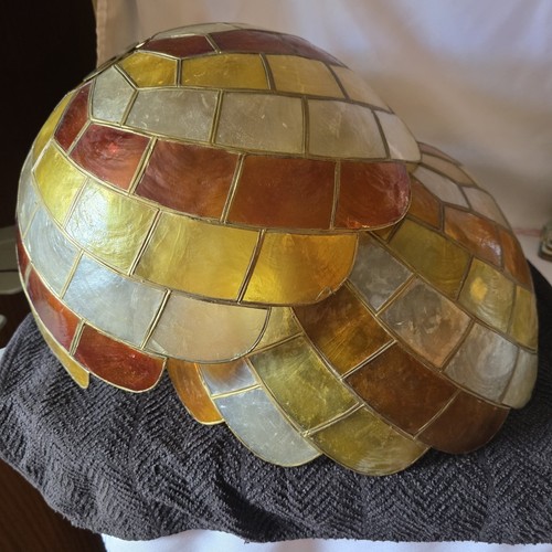 Pair vintage capiz - pair, shell