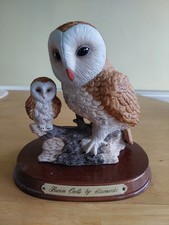 Barn Owl and Chick From