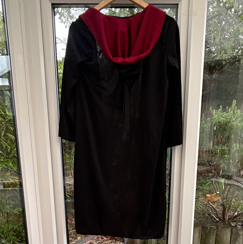 Harry potter gryffindor - potter, hooded