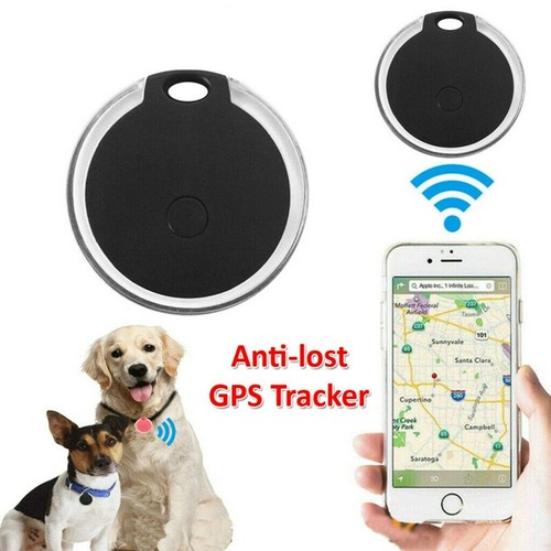 Pet dog cat - dog, locator