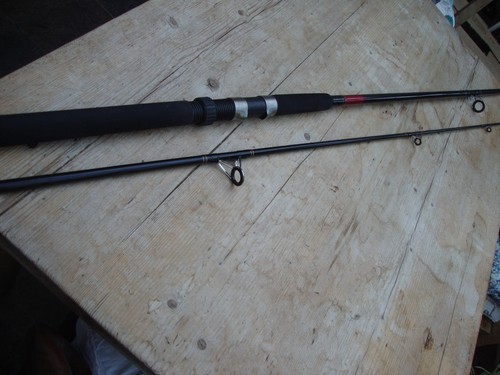 Silstar spinning rod - et,