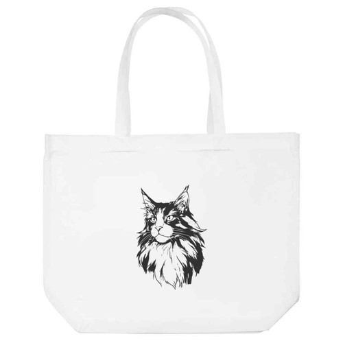 Maine coon cat portrait - 'maine,