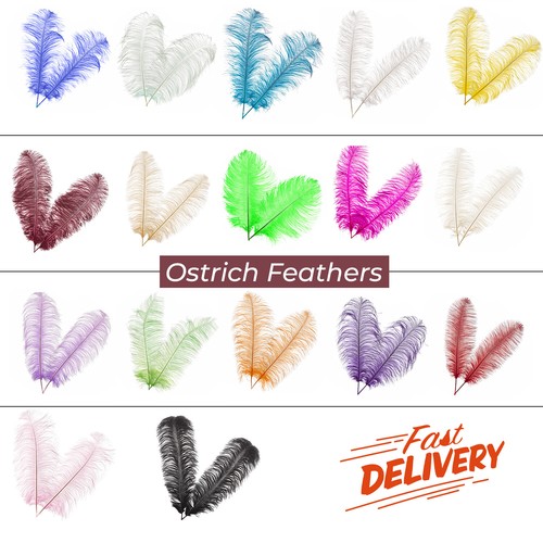Large ostrich feathers plume - large,