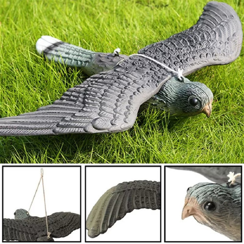 Fake falcon hawk bird - fake,