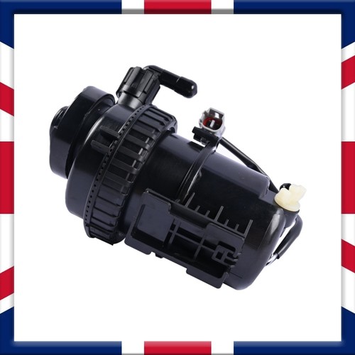 For fiat fullback - for,
