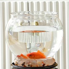 Fish Bowl Aquarium Office