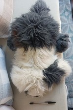Old English Sheepdog Soft Cuddly  Plush Fluffy Toy Cute Low Price