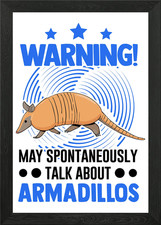 Armadillo Gift Framed Wall Art