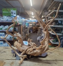 Red Moor Wood Root on Slate