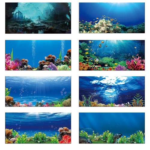New fish tank background hd - fish,