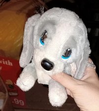 Sad Sam & Honey LAYING HONEY