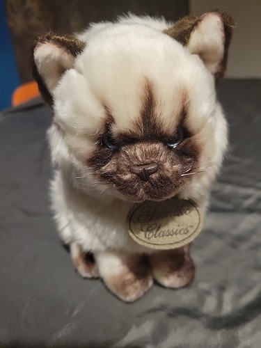 Yomiko realistic cat himalayan - realistic,