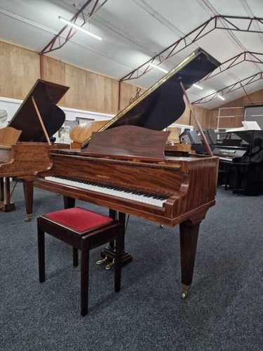 Bechstein baby grand piano - grand,