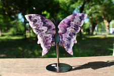 5.2'' A pair Natural Dream Amethyst Butterfly Wing Reiki Crystal Skull Decor