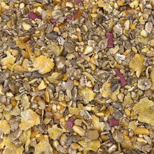 Grow wild bird seed food - bird,