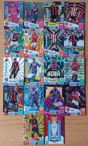 Panini adrenalyn premier - panini,