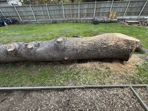Wood