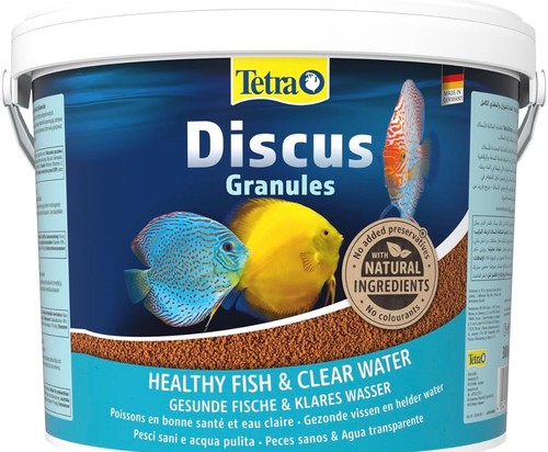 Tétra discus granulated fish - discus,