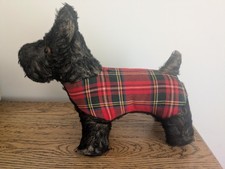 Wendy Boston Scottish Terrier