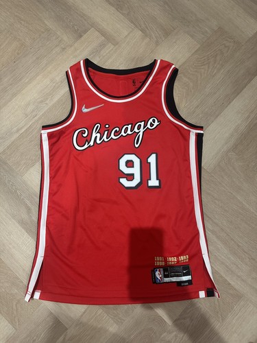 Nba chicago bulls - chicago, 2022