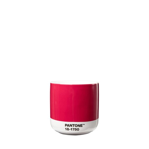 Pantone porcelain cortado mug - pantone,
