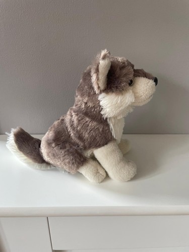 Ravensden grey husky puppy - grey,