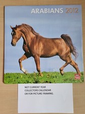 2012  ARABIAN HORSES 3O X 30CM  WALL CALENDAR NEW AND SEALED. 