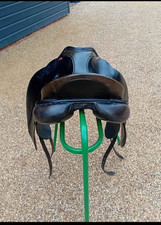 17.5 MW Albion SLK dressage