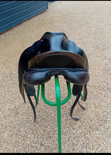 Albion slk dressage - mw,