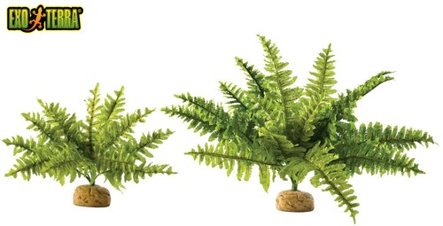Exo terra boston fern - terra,