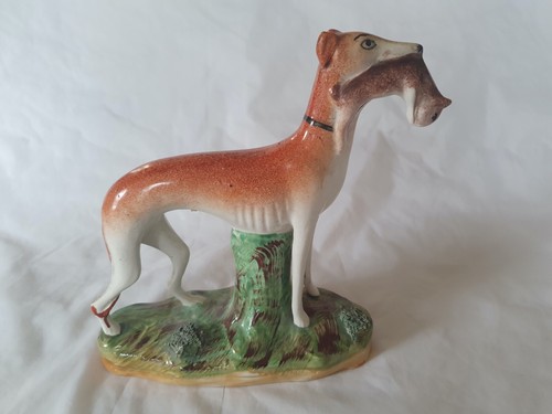 Charming large greyhound - charming,