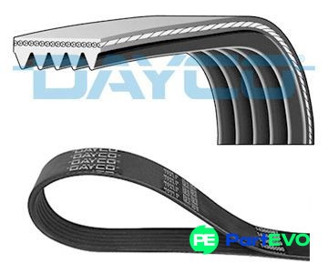 Dayco ribbed belt 5pk575 - v-ribbed, for