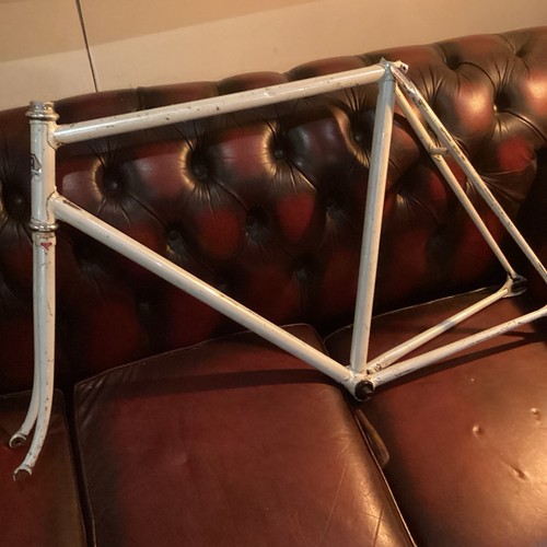 Njs yanagisawa japane - njs,