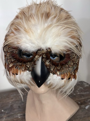 Bird raptor hawk - raptor, headdress