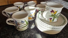 8 Vintage Portmeirion Espresso Cups and 8 Saucers Botanic Garden Fab condition