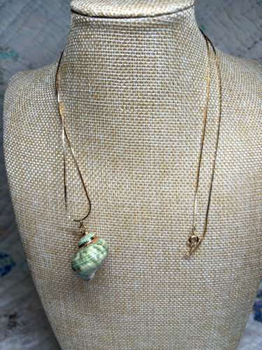Trumpet snail shell gold tone - snail,