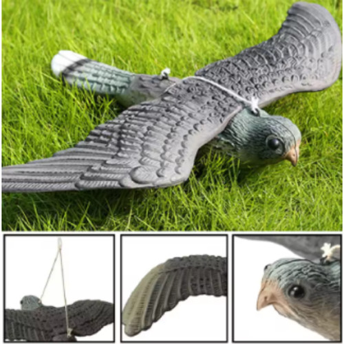 Fake falcon hawk bird - 3d,