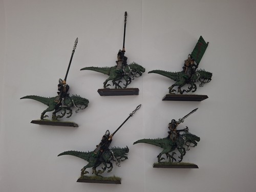 Dark elves cold one - 5x,