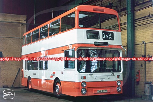 Bus photo selnec - photo,