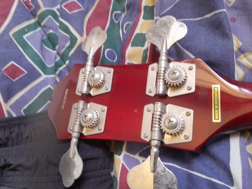 Epiphone ebg0chch1 strings - epiphone,